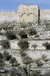 Severan Basilica, Leptis Magna, Libya, 216 Ad-Vivienne Sharp-Photographic Print