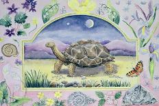 Giant Tortoise (Month of May from a Calendar)-Vivika Alexander-Giclee Print