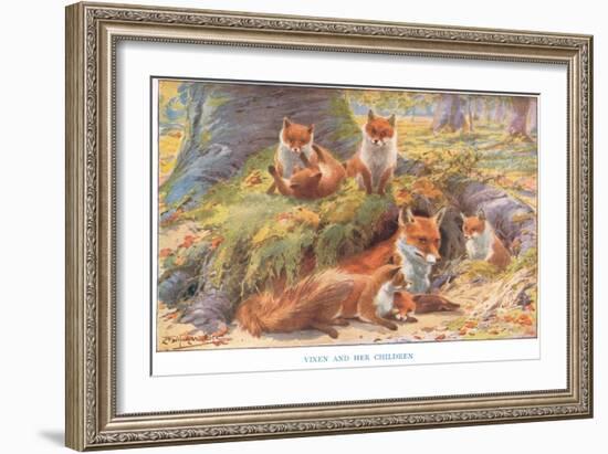Vixen and Her Children, Illustration from 'Country Ways and Country Days'-Louis Fairfax Muckley-Framed Giclee Print