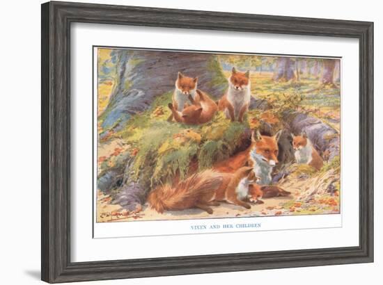 Vixen and Her Children, Illustration from 'Country Ways and Country Days'-Louis Fairfax Muckley-Framed Giclee Print