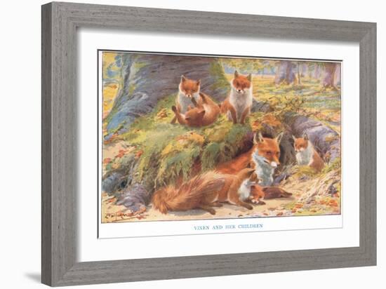 Vixen and Her Children, Illustration from 'Country Ways and Country Days'-Louis Fairfax Muckley-Framed Giclee Print