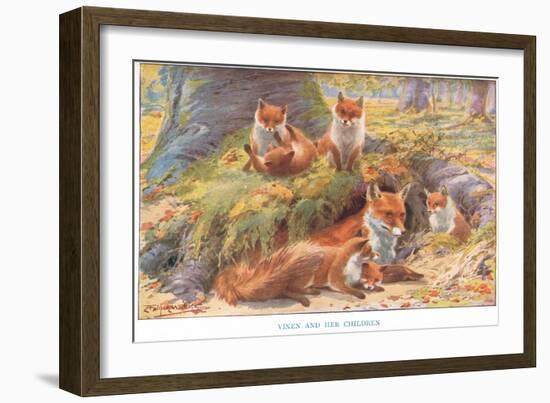 Vixen and Her Children, Illustration from 'Country Ways and Country Days'-Louis Fairfax Muckley-Framed Giclee Print