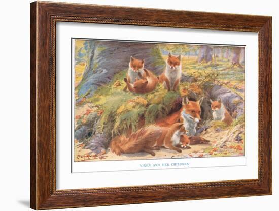 Vixen and Her Children, Illustration from 'Country Ways and Country Days'-Louis Fairfax Muckley-Framed Giclee Print