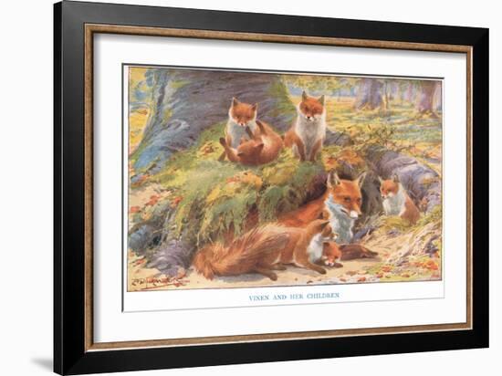 Vixen and Her Children, Illustration from 'Country Ways and Country Days'-Louis Fairfax Muckley-Framed Giclee Print