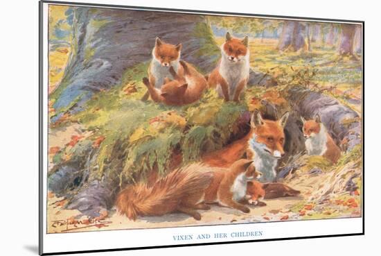 Vixen and Her Children, Illustration from 'Country Ways and Country Days'-Louis Fairfax Muckley-Mounted Giclee Print