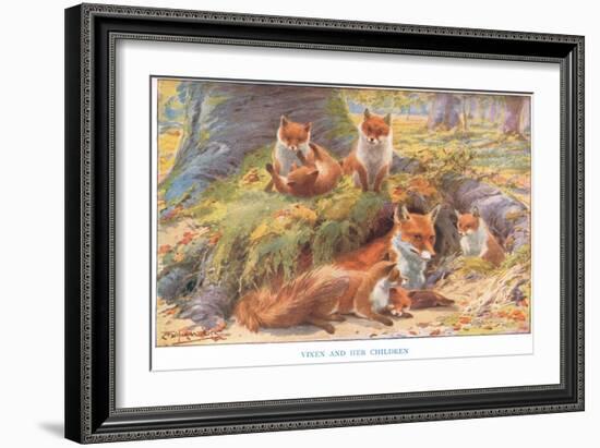 Vixen and Her Children, Illustration from 'Country Ways and Country Days'-Louis Fairfax Muckley-Framed Giclee Print