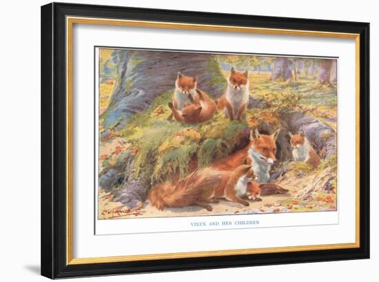 Vixen and Her Children, Illustration from 'Country Ways and Country Days'-Louis Fairfax Muckley-Framed Giclee Print