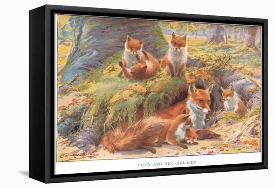 Vixen and Her Children, Illustration from 'Country Ways and Country Days'-Louis Fairfax Muckley-Framed Premier Image Canvas