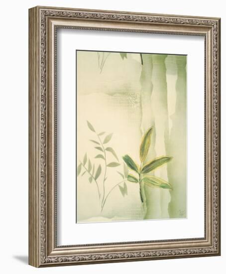 Vizcaya Ferns II-Muriel Verger-Framed Giclee Print