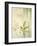 Vizcaya Ferns II-Muriel Verger-Framed Giclee Print