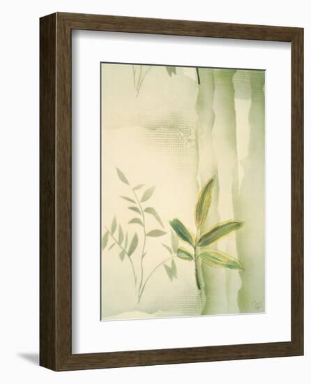 Vizcaya Ferns II-Muriel Verger-Framed Giclee Print