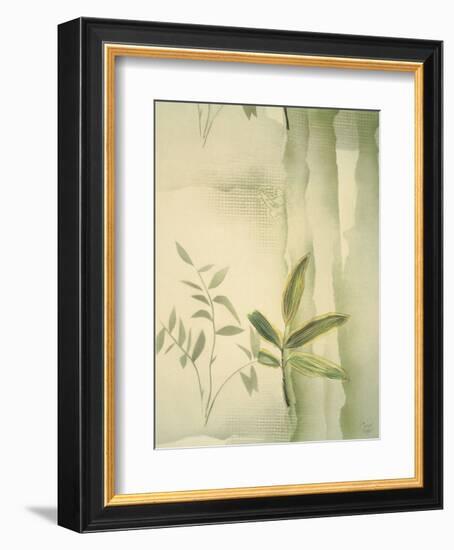 Vizcaya Ferns II-Muriel Verger-Framed Art Print