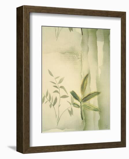 Vizcaya Ferns II-Muriel Verger-Framed Art Print