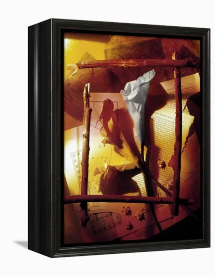 Vizu-Craig Satterlee-Framed Premier Image Canvas