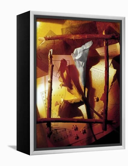 Vizu-Craig Satterlee-Framed Premier Image Canvas