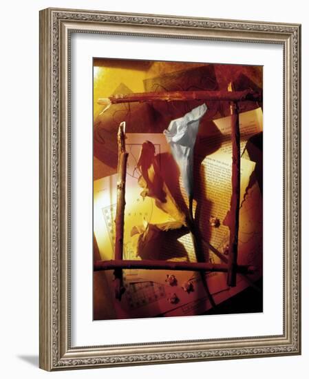 Vizu-Craig Satterlee-Framed Photographic Print