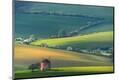 Premium Photographic Print