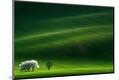 Premium Photographic Print