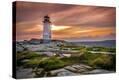 Stretched Canvas Print