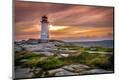 Photographic Print