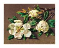 Magnolias-Vladimir Tretchikoff-Framed Art Print