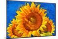 Premium Photographic Print