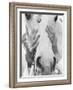 Vogue - September 1968 - Conchita Cintron & Horse-Henry Clarke-Framed Art Print