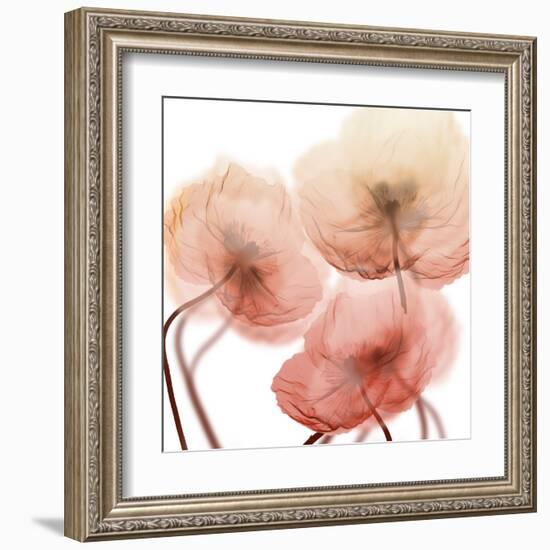 Voiceless Impact 1-Albert Koetsier-Framed Art Print