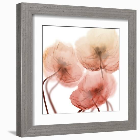 Voiceless Impact 1-Albert Koetsier-Framed Art Print