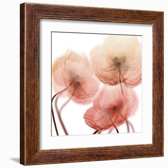 Voiceless Impact 1-Albert Koetsier-Framed Art Print