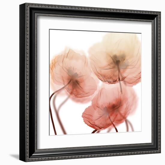 Voiceless Impact 1-Albert Koetsier-Framed Art Print