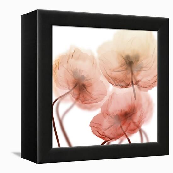 Voiceless Impact 1-Albert Koetsier-Framed Stretched Canvas