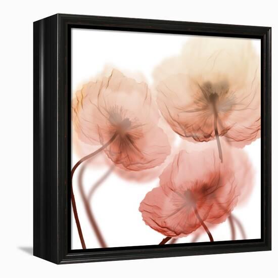 Voiceless Impact 1-Albert Koetsier-Framed Stretched Canvas