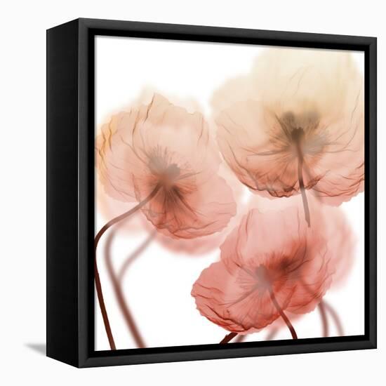 Voiceless Impact 1-Albert Koetsier-Framed Stretched Canvas