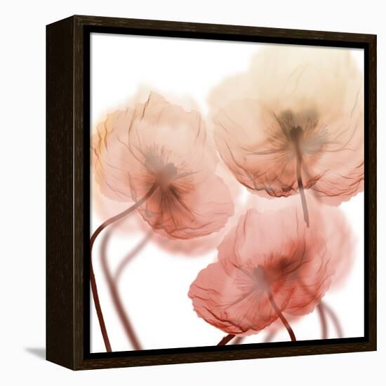 Voiceless Impact 1-Albert Koetsier-Framed Stretched Canvas