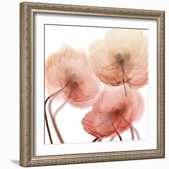 Voiceless Impact 1-Albert Koetsier-Framed Art Print