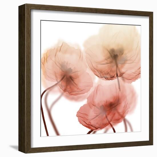 Voiceless Impact 1-Albert Koetsier-Framed Art Print