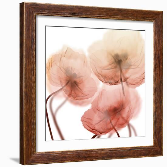 Voiceless Impact 1-Albert Koetsier-Framed Art Print