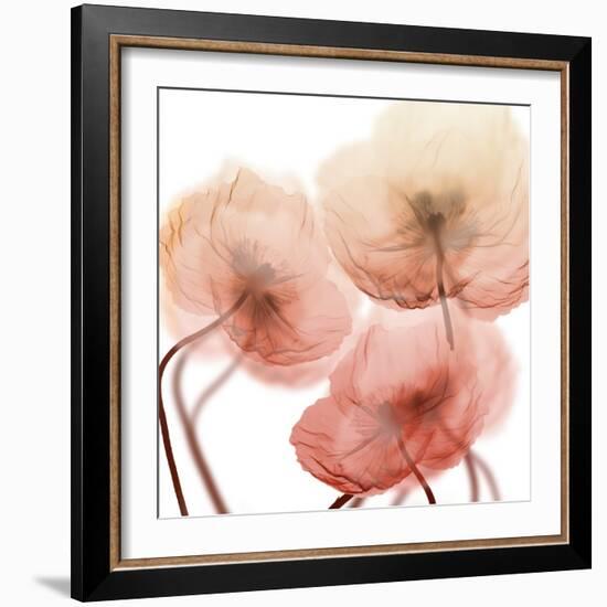 Voiceless Impact 1-Albert Koetsier-Framed Art Print