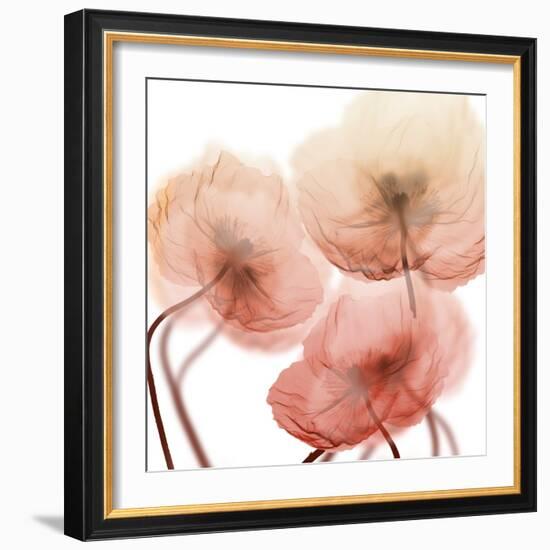 Voiceless Impact 1-Albert Koetsier-Framed Art Print