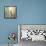 Voir Le Monde Autrement-Sylvie Demers-Framed Premier Image Canvas displayed on a wall