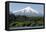 Volcan Villarrica and Lao Villarrica at Pucon, Lakes District, Southern Chile, South America-Tony-Framed Premier Image Canvas