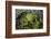 Volcanic Crater, Mt. Eden, Auckland, North Island, New Zealand-David Wall-Framed Photographic Print