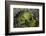 Volcanic Crater, Mt. Eden, Auckland, North Island, New Zealand-David Wall-Framed Photographic Print