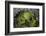 Volcanic Crater, Mt. Eden, Auckland, North Island, New Zealand-David Wall-Framed Photographic Print