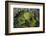 Volcanic Crater, Mt. Eden, Auckland, North Island, New Zealand-David Wall-Framed Photographic Print