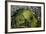 Volcanic Crater, Mt. Eden, Auckland, North Island, New Zealand-David Wall-Framed Photographic Print