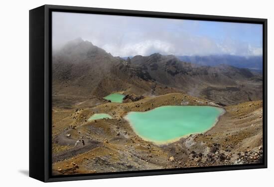 Volcanic Lakes, New Zealand-Cordelia Molloy-Framed Premier Image Canvas