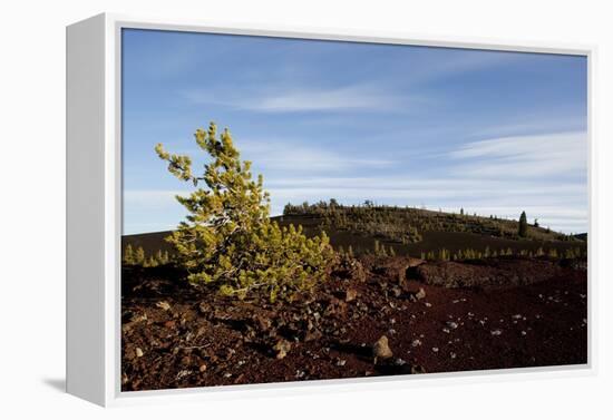 Volcanic Lava Fields, Craters of the Moon National Monument, Idaho-Paul Souders-Framed Premier Image Canvas