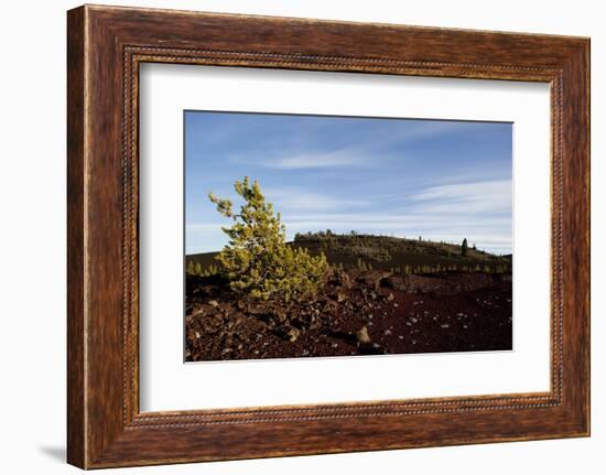 Volcanic Lava Fields, Craters of the Moon National Monument, Idaho-Paul Souders-Framed Photographic Print